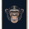 Chimpansen