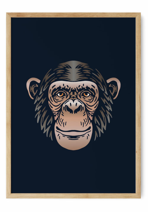 Chimpansen