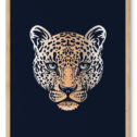 Leoparden