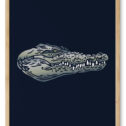 Krokodillen