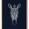 Zebraen