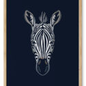 Zebraen