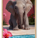 Baby elefant